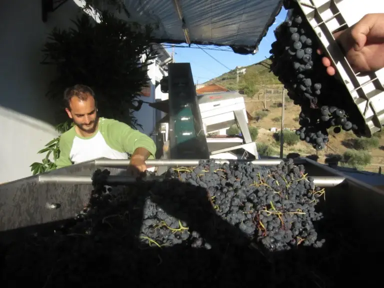 Harvest 2011