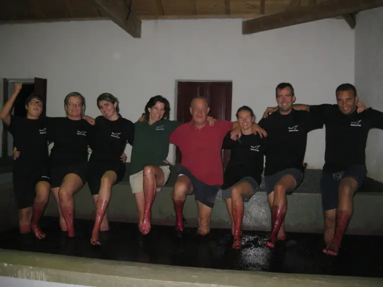 Foot Treading 2012