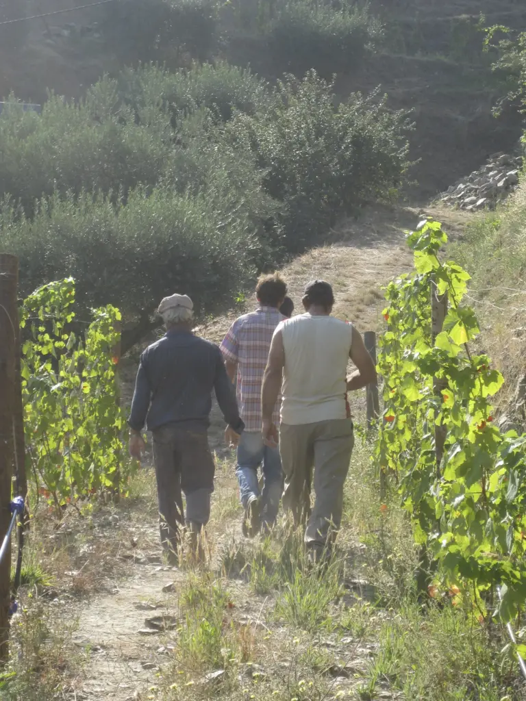 Our core work force at Quinta do Tedo