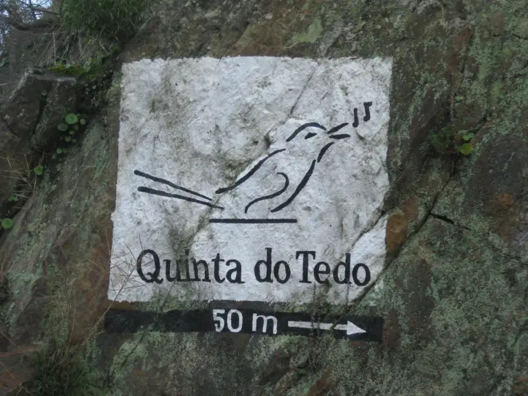 Thanks to Friends of Quinta do Tedo…