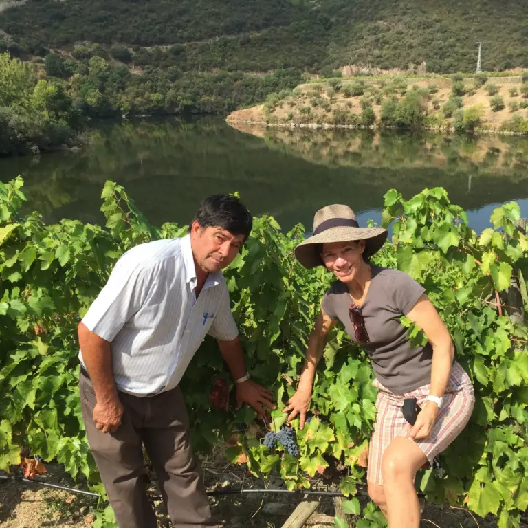 The 5 key varietals in our Portos and Douro DOCs