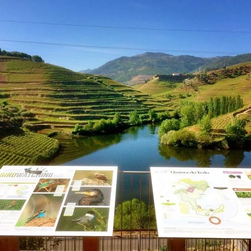 Quinta do Tedo Nature Trail overview from vantage point.