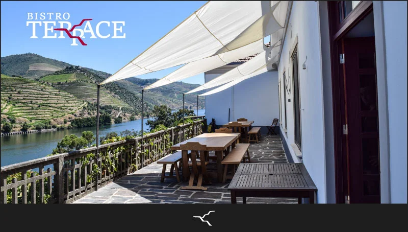 Bistro_newsletter__terrace_IMAGE