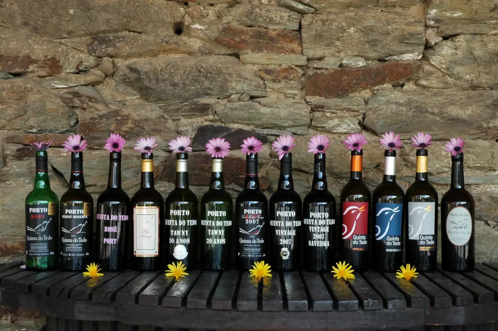 Bottle line-up #2