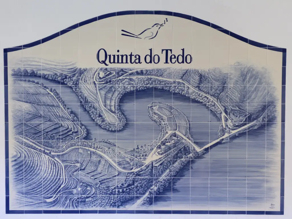 Aerial view of Quinta do Tedo.
