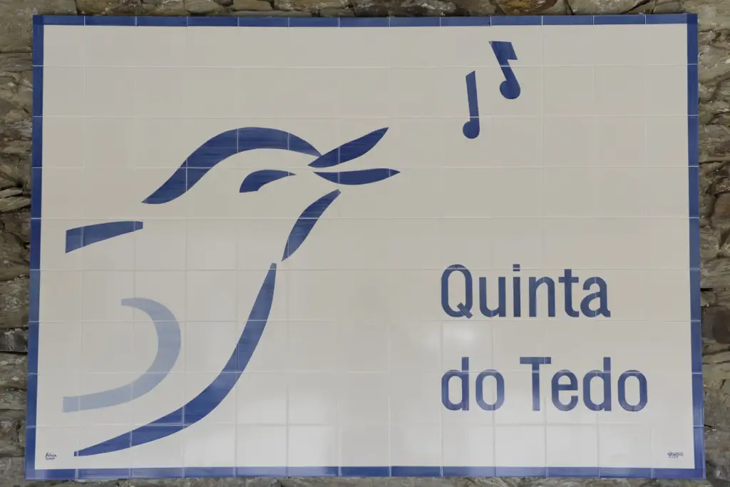 Quinta bird singing loud and clear!
