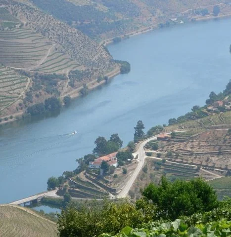 Douro View from Maramalal - Version 3