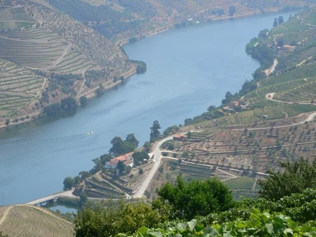 Douro View from Maramalal