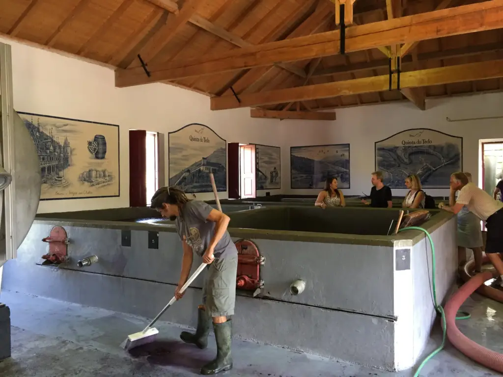 Harvest in the lagars