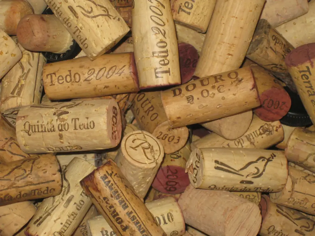 Tasting our ports and red wines in the tasting room