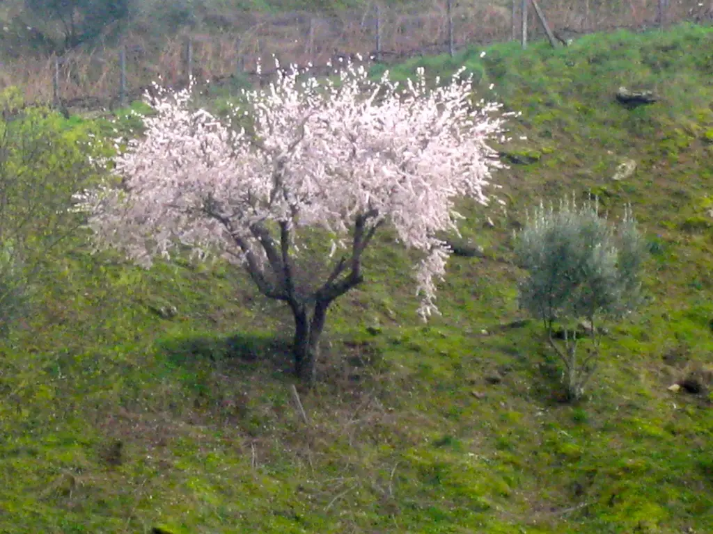 IMG_5144