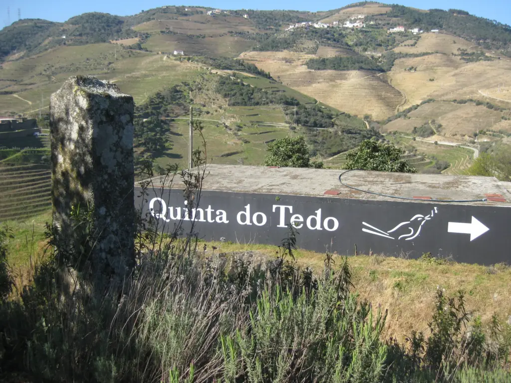 Alternate route includes feitoria stones.