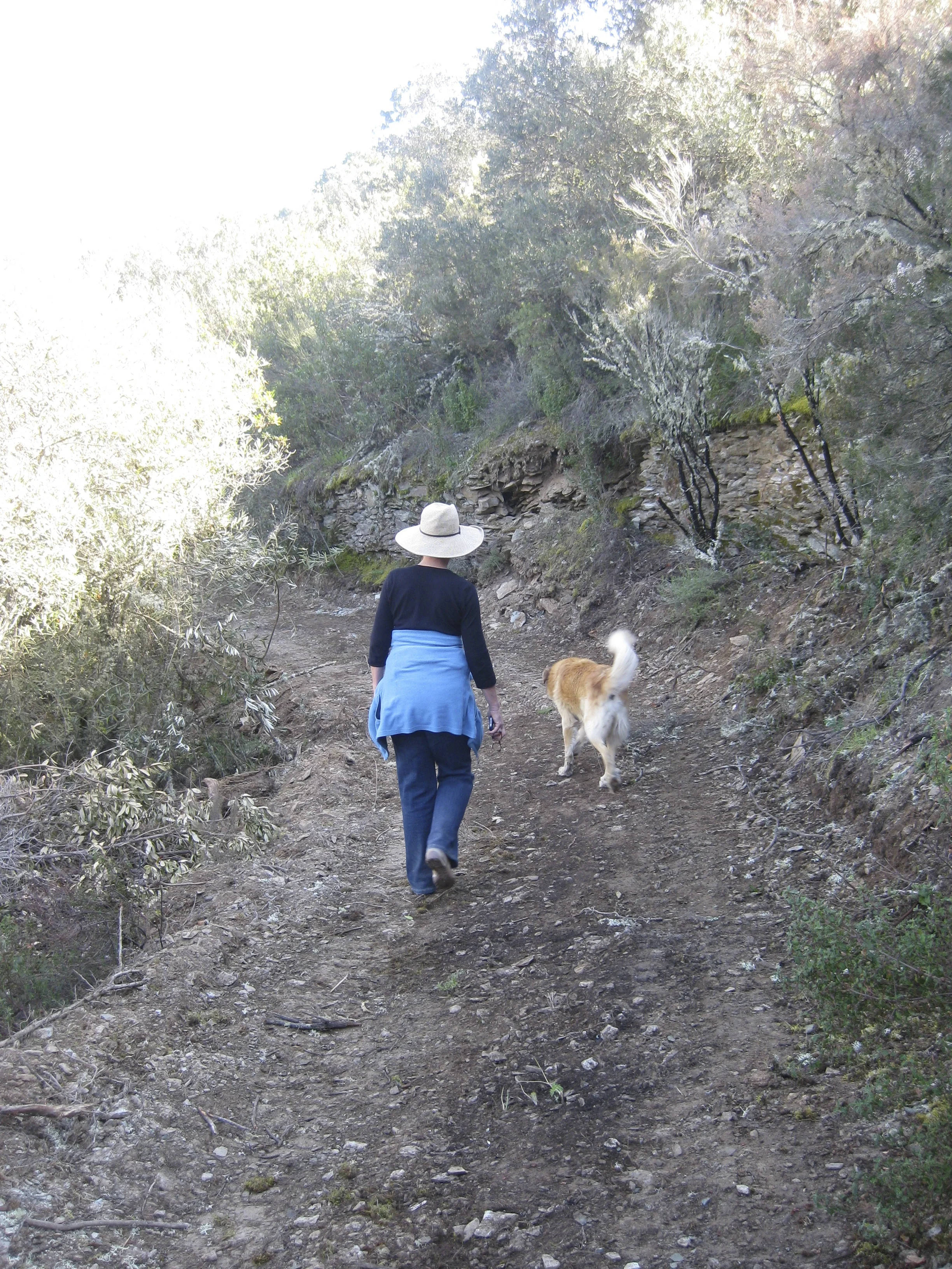 Our dogs are perfect companions for the trail.
