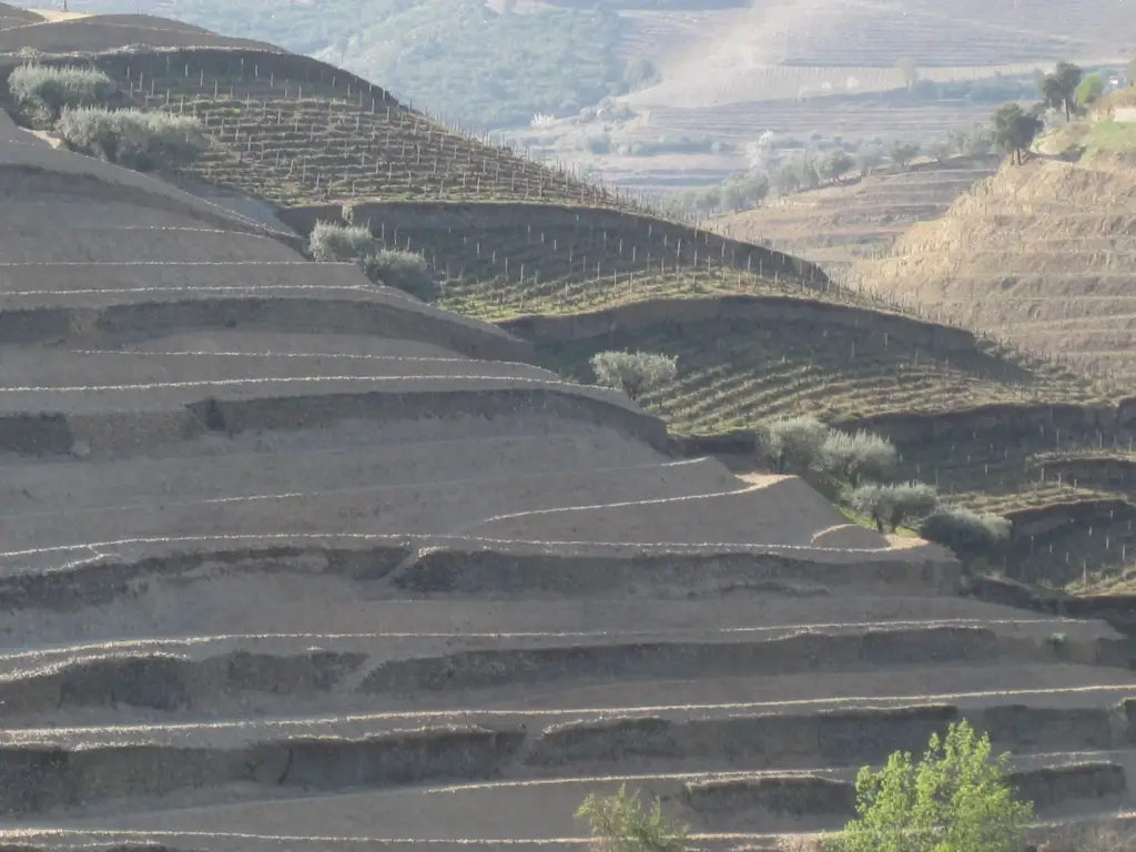 2012 - before planting.