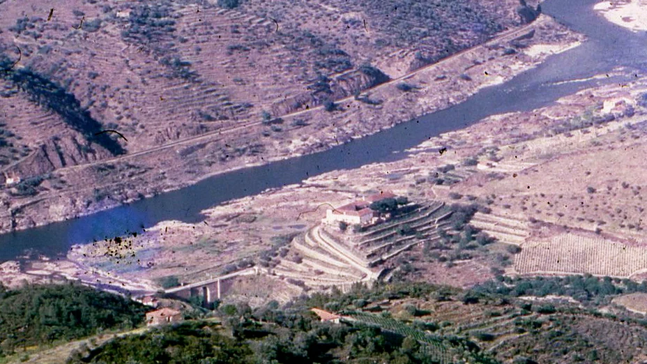Quinta do Tedo years ago_3