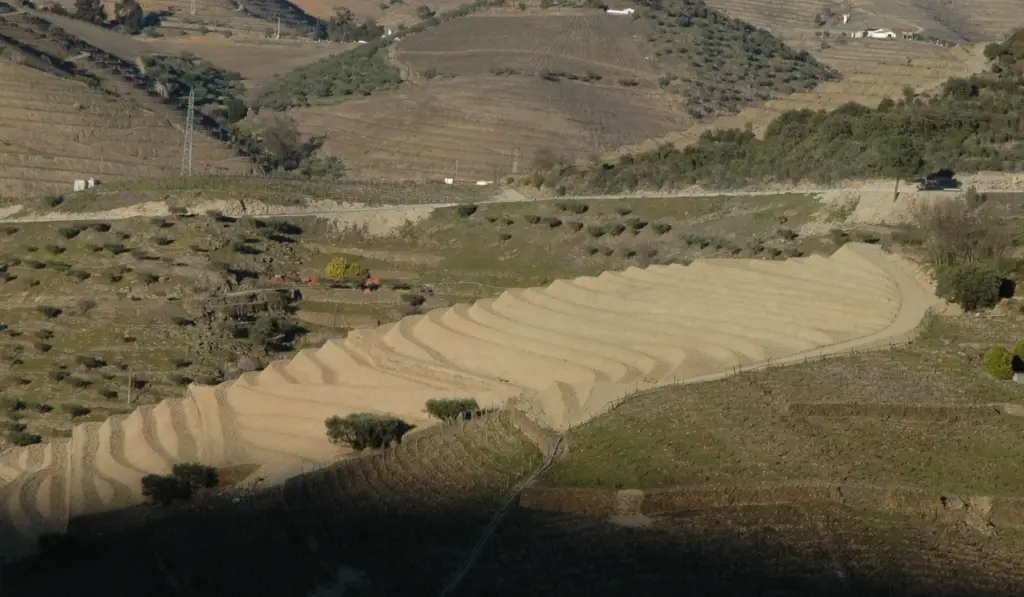 Vineyard Contour