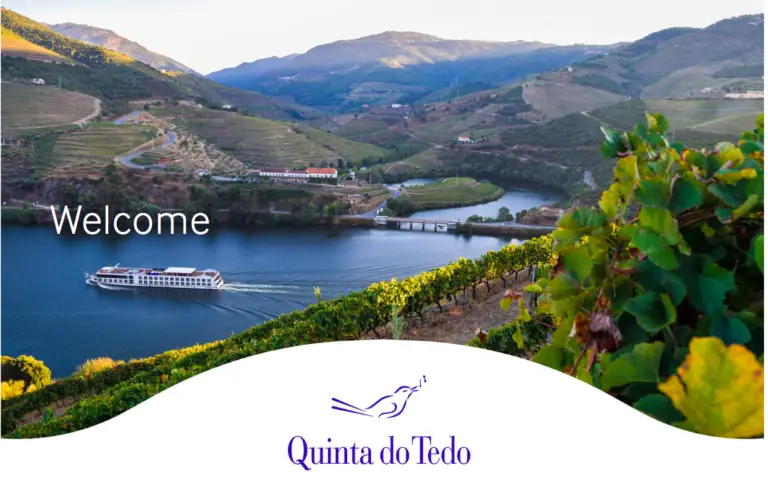 New Quinta do Tedo website and cave excavation begins