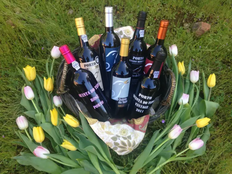 Spring has arrived at Quinta do Tedo!