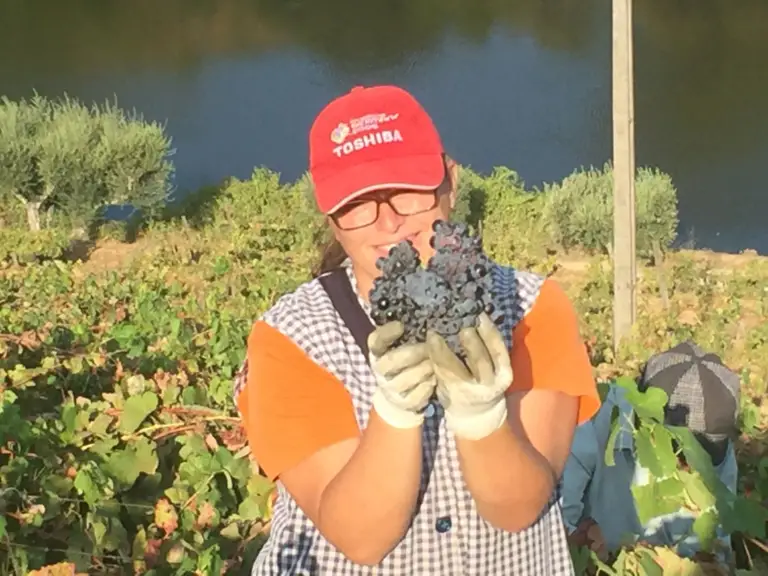 Harvest 2018