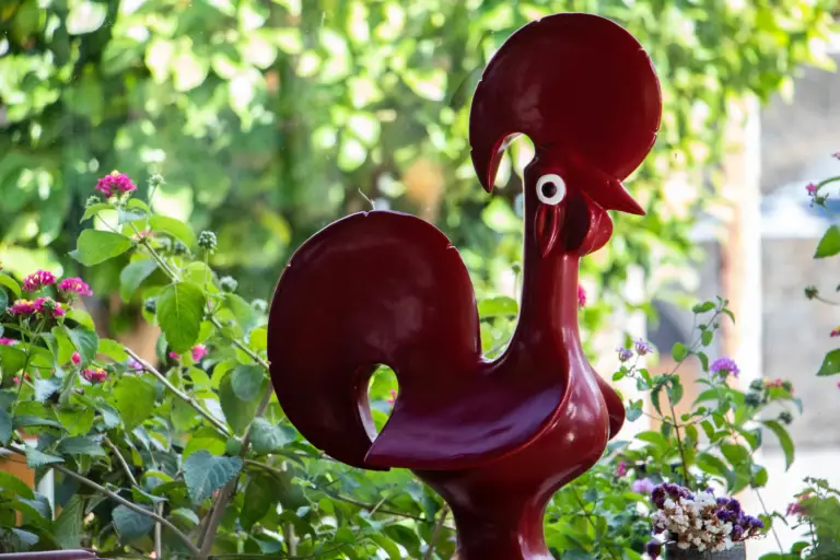 Portugal’s Celebrated Rooster