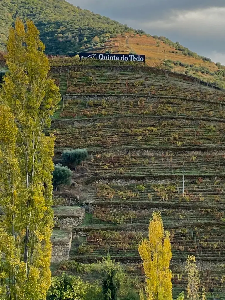 Recap Harvest 2020, followed by an Hommage to Fall Colors