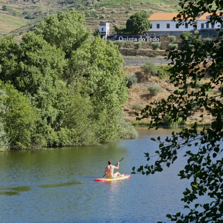 Quinta do Tedo’s new and improved enotourism experiences!