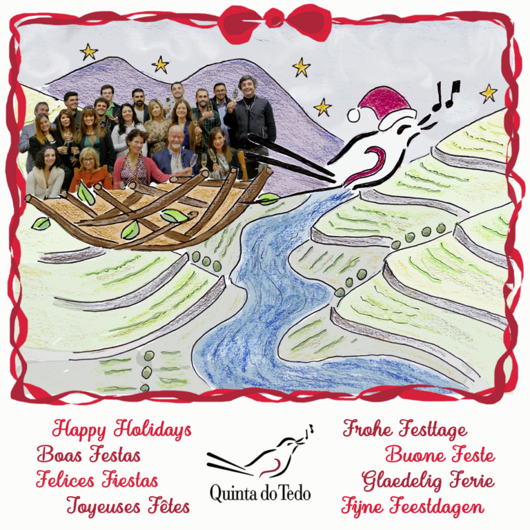 Happy Holidays, Joyeuses Fêtes & Boas Festas 2021!