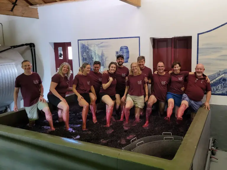 Owner-led harvest activities at Quinta do Tedo
