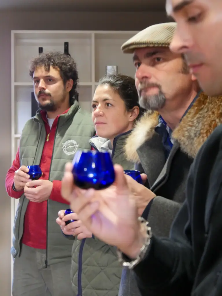 (NEW!) Olive Oil Tastings at Quinta do Tedo
