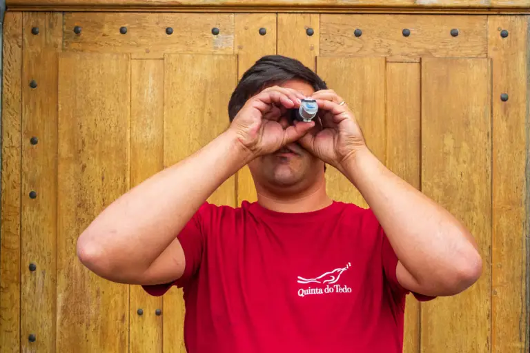 “Postcards” from Quinta do Tedo’s 2025 Harvest Experiences
