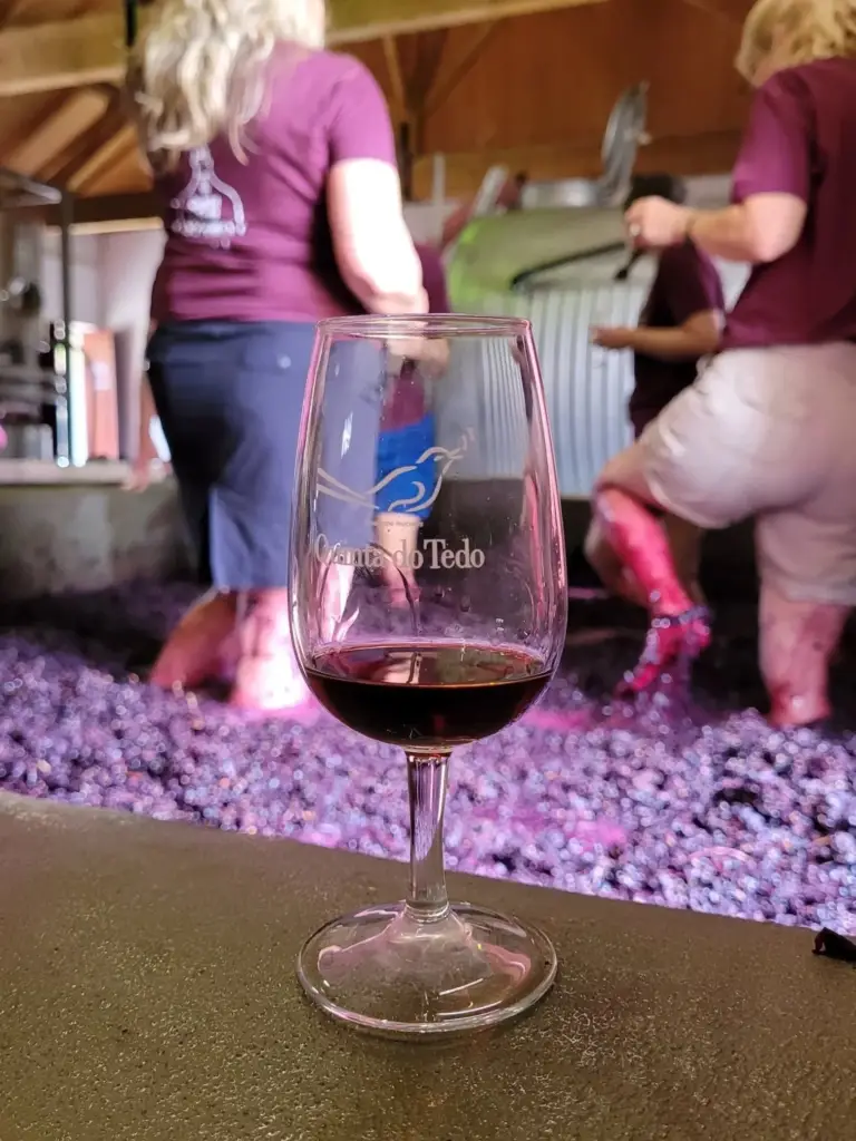 Coming up – our annual Harvest Experience 🍇