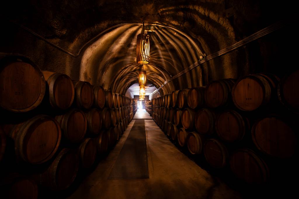 Tour & Tawny Barrel Tasting