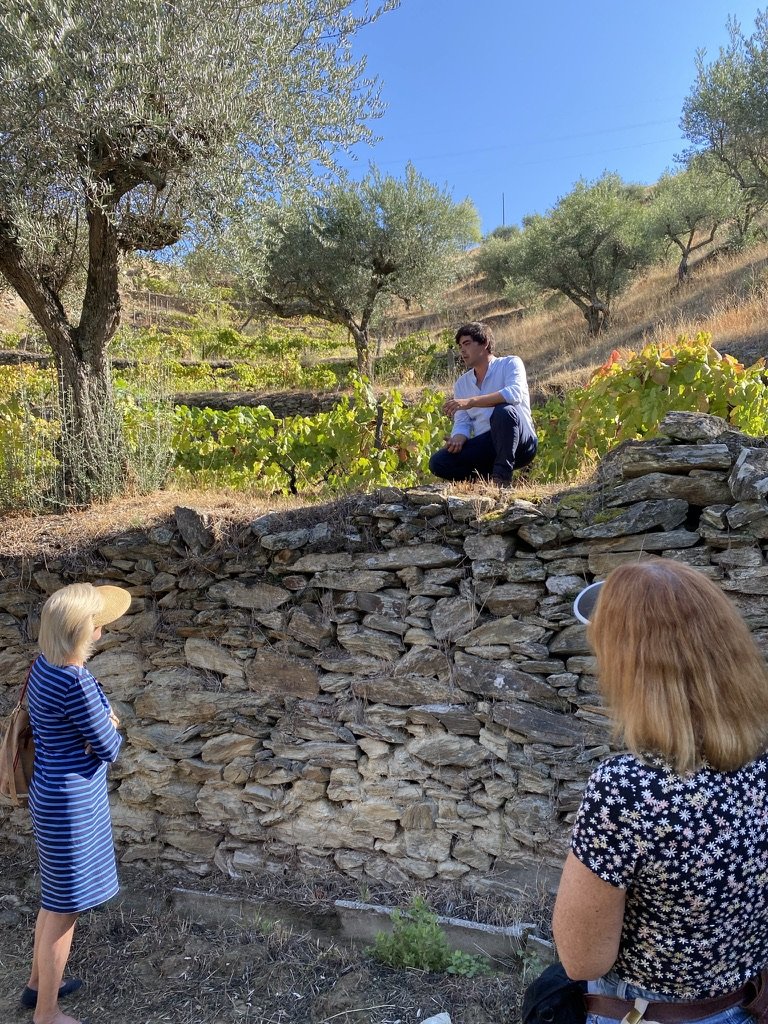  Angelo's overview of Quinta do Tedo's viticultural philosophy 