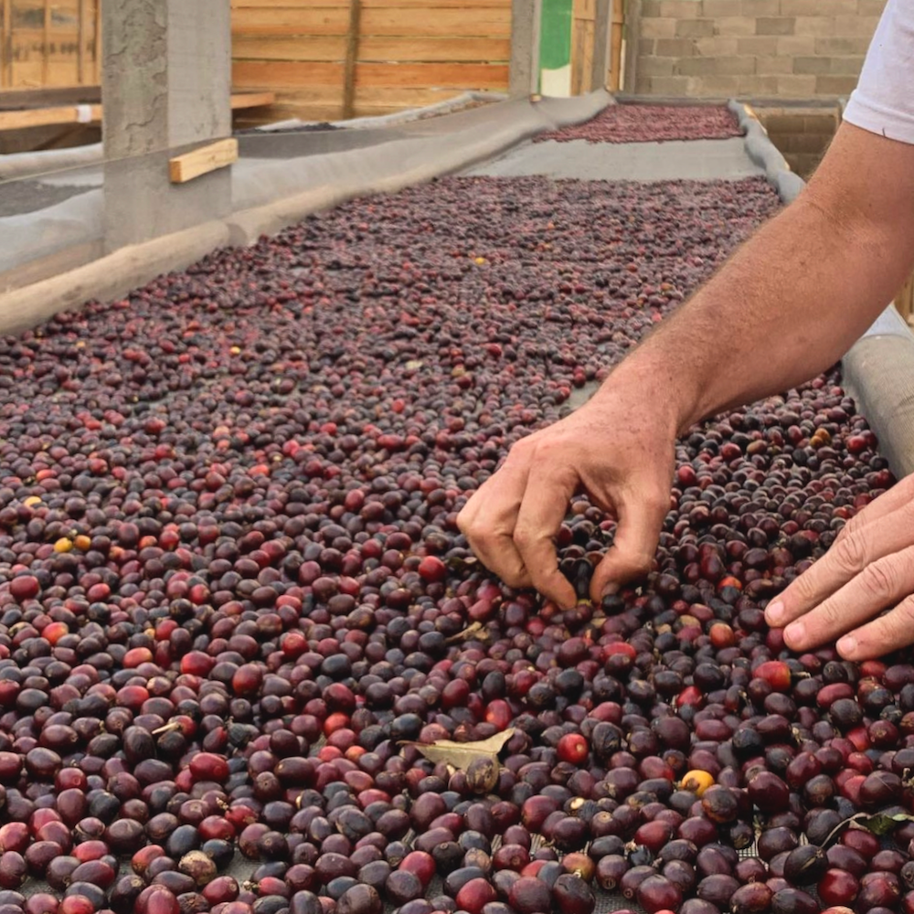 Le Café Barriqué (150 g) - Image 2