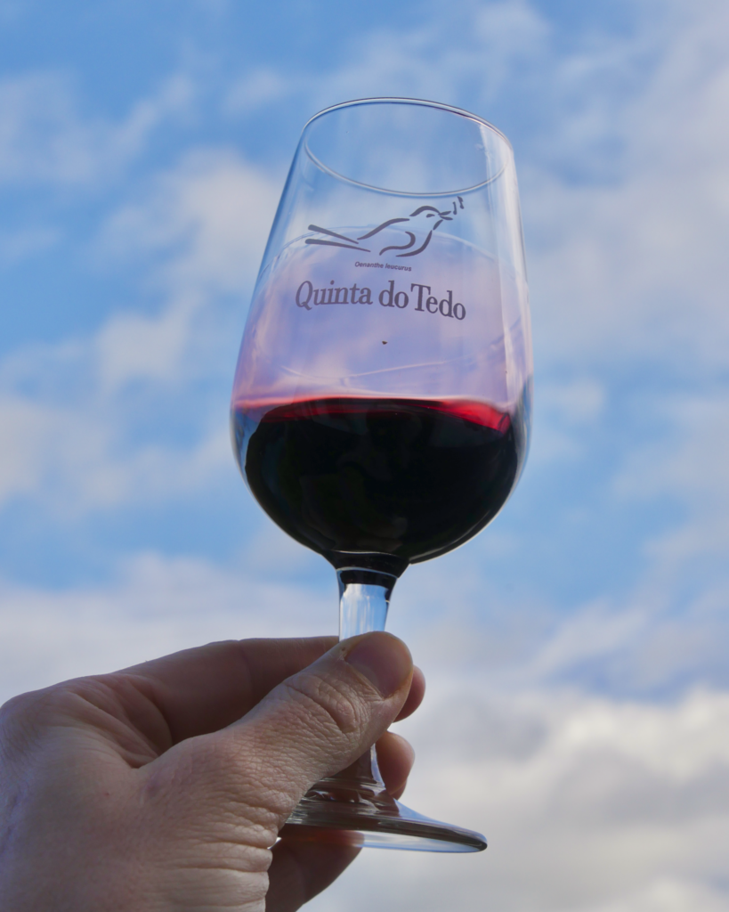 Quinta do Tedo Serigraphed Porto Glass