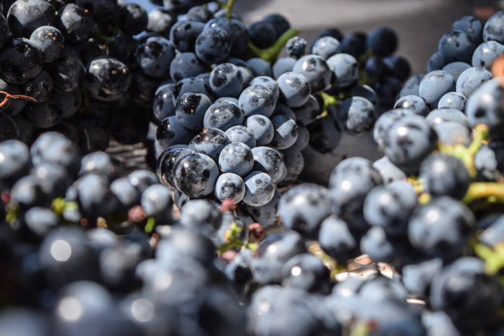 Vintage Savedra Port Wines